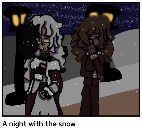 A night with the snow