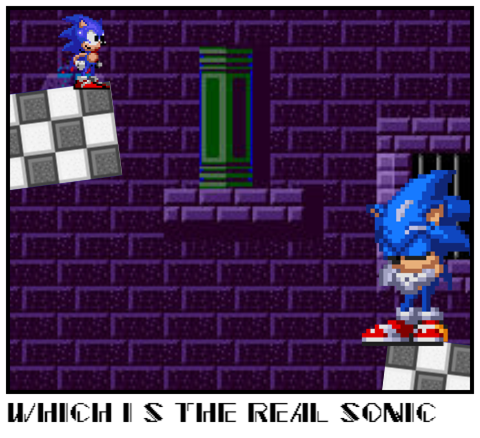which i s the real sonic